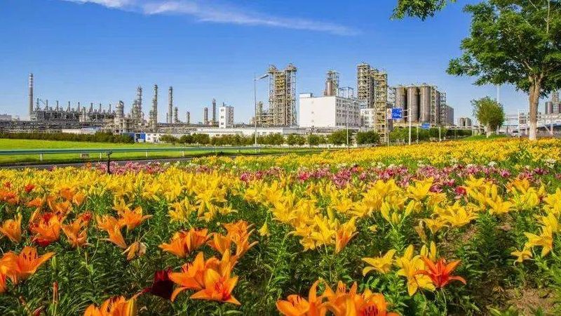 工业添加剂材质分类详解：如何精准选择
